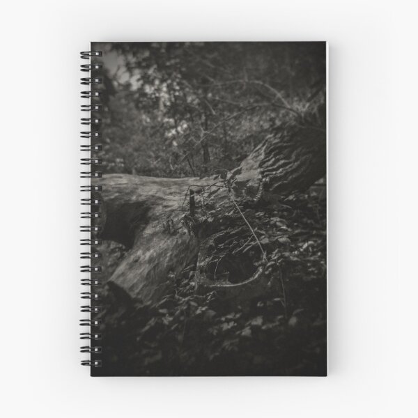 Item preview, Fine Art Photograph Made With Toy Camera - fallen tree in wood designed and sold by Christopher Ball.