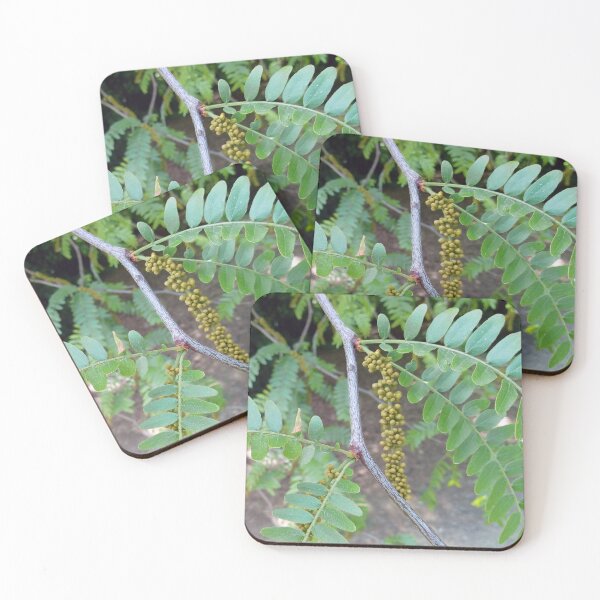 Item preview, Honey locust tree close up 1 original artwork designed and sold by paragonDesign28.