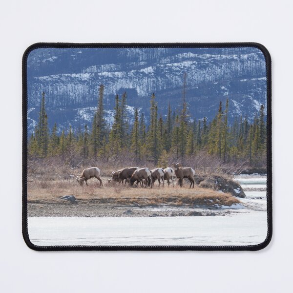 Item preview, Tranquil Morro Slabs Goats by Athabasca River designed and sold by rawshutterbug.