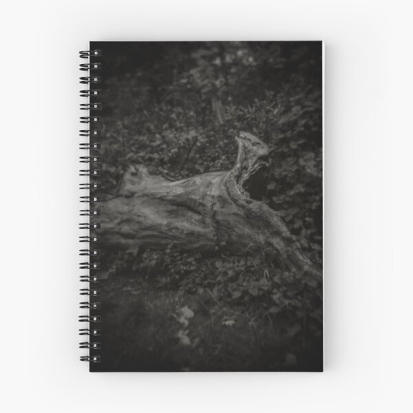 Item preview, Fine Art Photograph Made With Toy Camera - Tree Stump in Woods designed and sold by Christopher Ball.