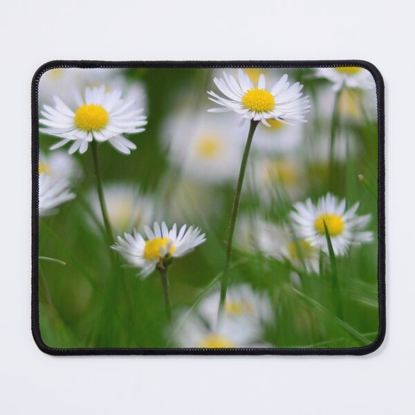 Item preview, Daisy designed and sold by vatisa.