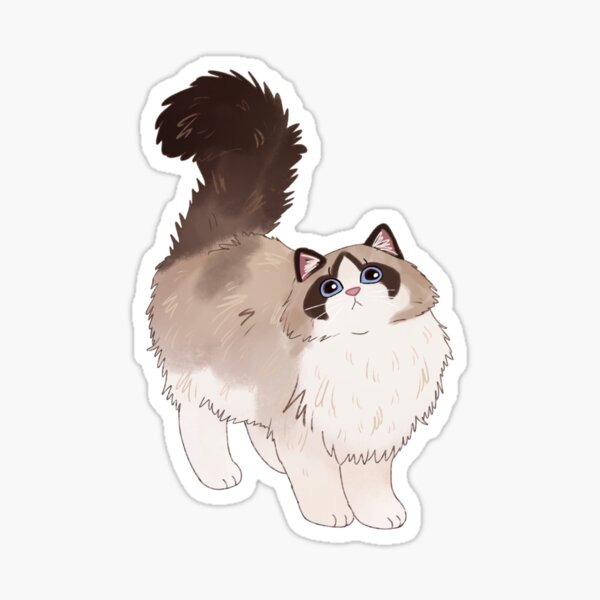 Item preview, Cute fluffy Ragdoll Cat  designed and sold by Yaragold.