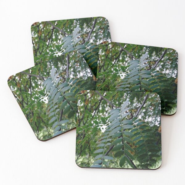 Item preview, Honey locust tree close up 2 original artwork designed and sold by paragonDesign28.