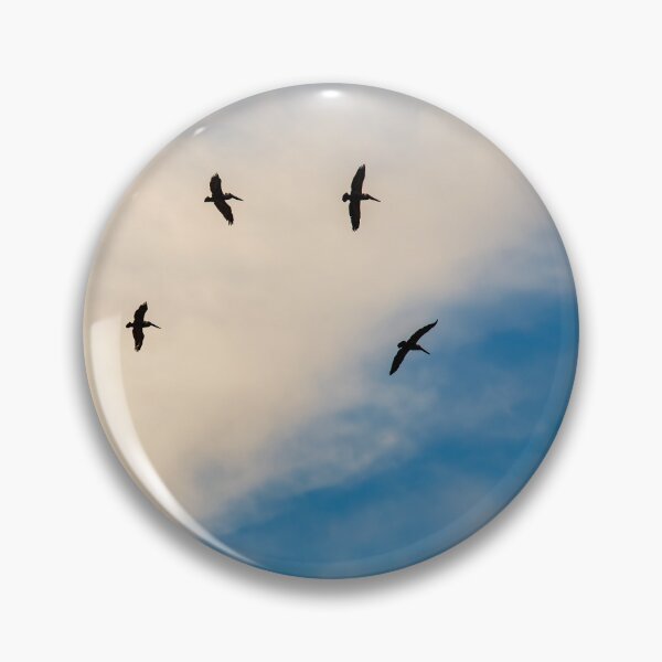 Item preview, Dritfing overhead designed and sold by Texas Enfocus Photography.