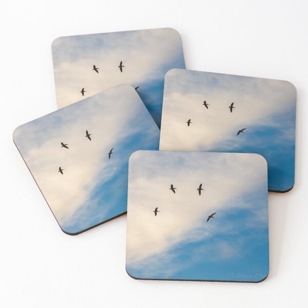 Item preview, Dritfing overhead designed and sold by Texas Enfocus Photography.