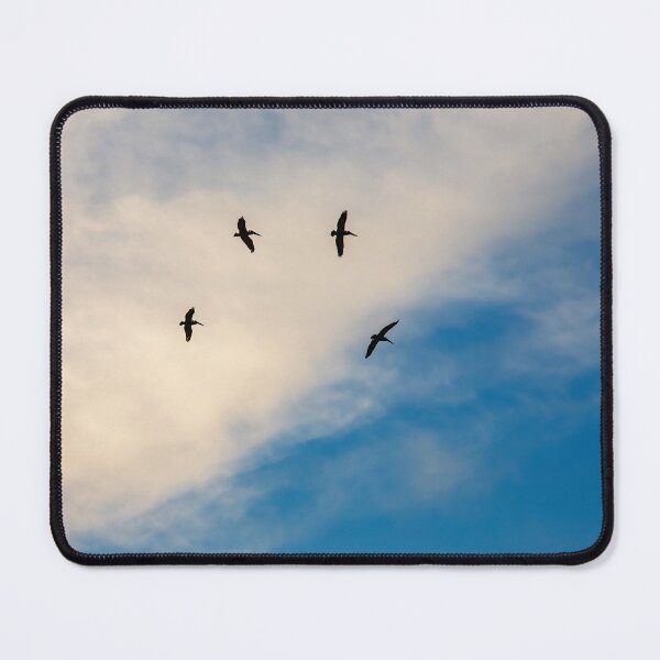 Item preview, Dritfing overhead designed and sold by Texas Enfocus Photography.