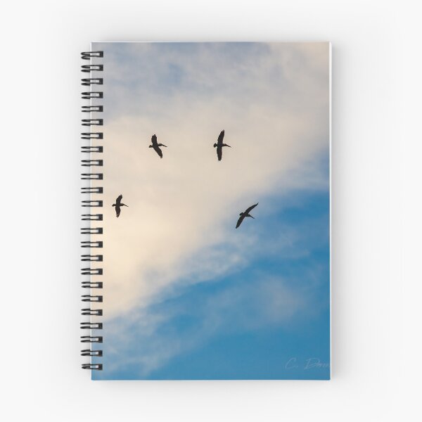 Item preview, Dritfing overhead designed and sold by Texas Enfocus Photography.