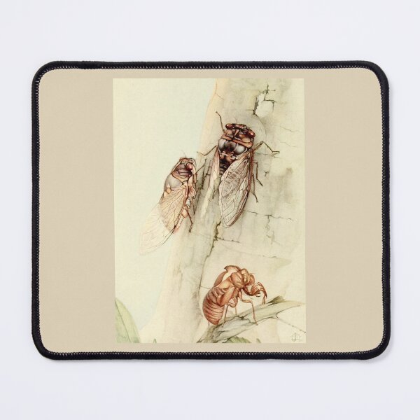 Item preview, Cicadas Locusts Vintage Illustration designed and sold by collageDP.