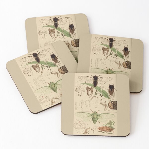 Item preview, Cicadas Locusts Antique Illustration designed and sold by collageDP.