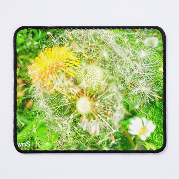 Item preview, Multi- tude and -ply of dandelions designed and sold by dawnsm.