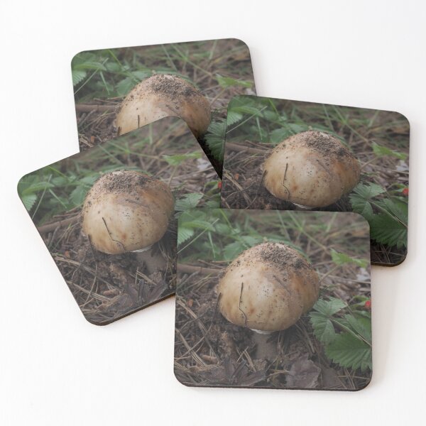 Item preview, Mushroom Turist Park Samokov bulgaria designed and sold by oleg gendel.