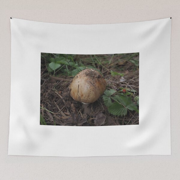 Item preview, Mushroom Turist Park Samokov bulgaria designed and sold by oleg gendel.