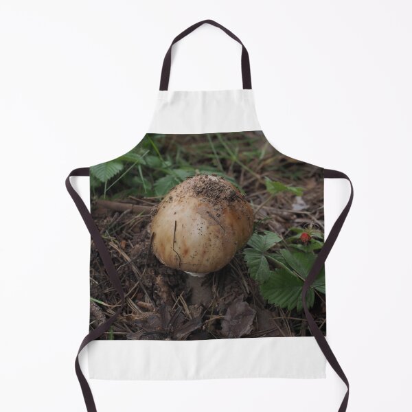 Item preview, Mushroom Turist Park Samokov bulgaria designed and sold by oleg gendel.
