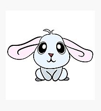 Cute here Photographic Print