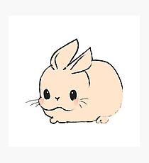 Cute hare Photographic Print