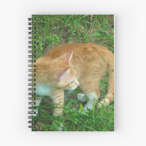 Item preview, Butterbean the Cat designed and sold by Vivian Eagleson.