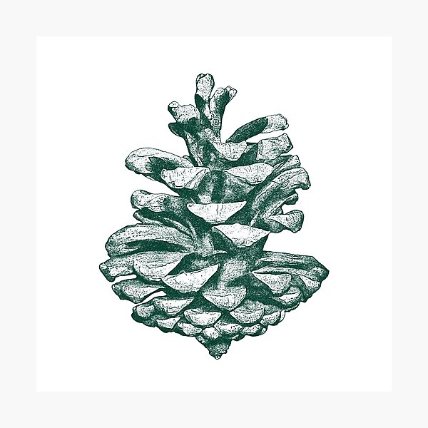 Item preview, Vintage pine cone green designed and sold by pallkris.