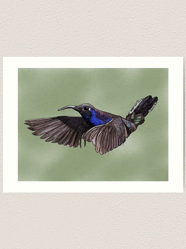 Alternate view of Hummingbird Art Print