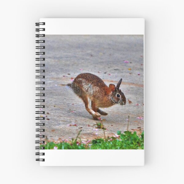 Item preview, Hare On The Run designed and sold by Eileen Brymer.
