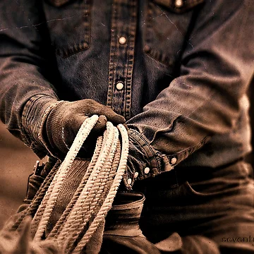 Artwork thumbnail, Cowboy Rope by seventySIXart&photo