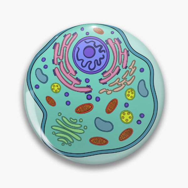 Item preview, Outlined Animal Cell designed and sold by morgankorzik.