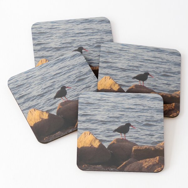 Item preview, The Sooty Oystercatcher! designed and sold by Mickangelhere.