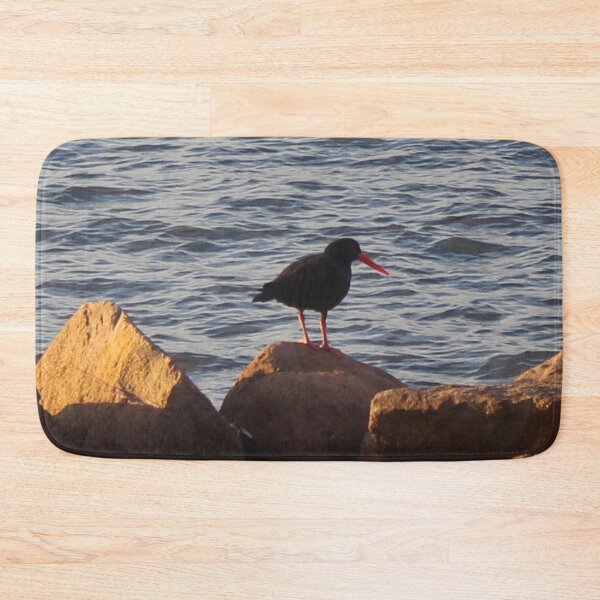 Item preview, The Sooty Oystercatcher! designed and sold by Mickangelhere.