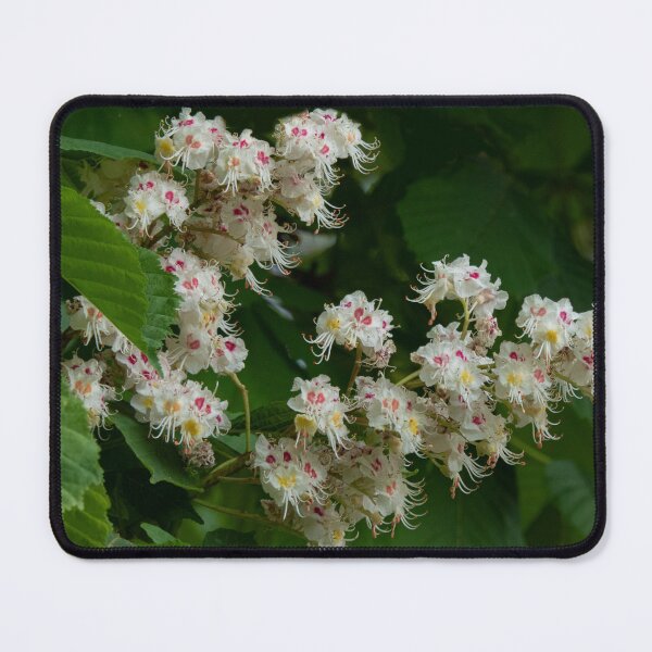 Item preview, Chestnut Blossoms designed and sold by Gerda Grice Photography.