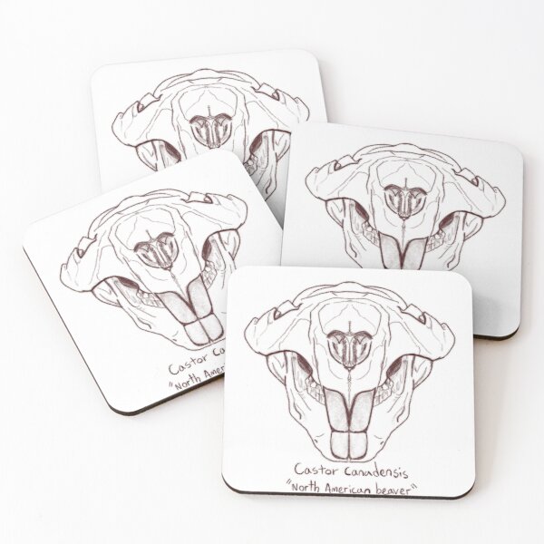 Item preview, North American Beaver Skull designed and sold by GrilledRetro.