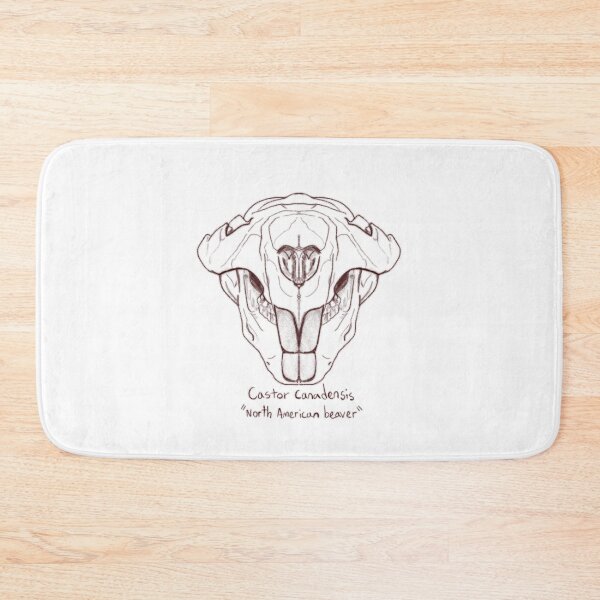 Item preview, North American Beaver Skull designed and sold by GrilledRetro.