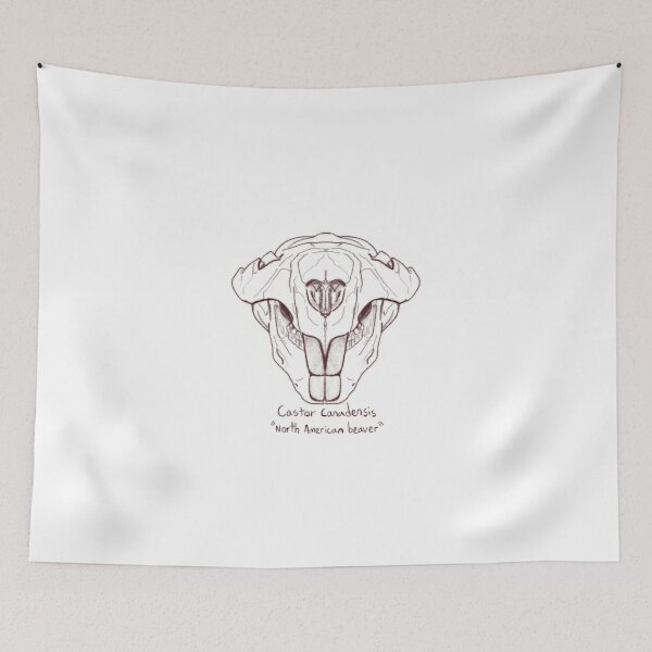 Item preview, North American Beaver Skull designed and sold by GrilledRetro.