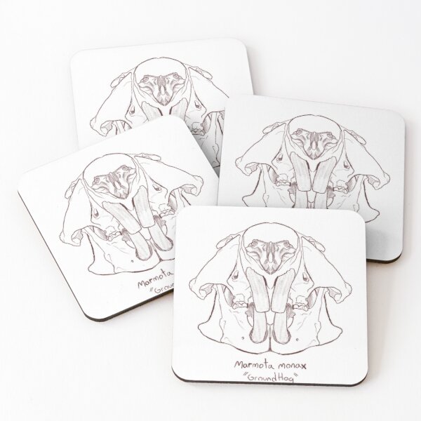 Item preview, Groundhog skull designed and sold by GrilledRetro.
