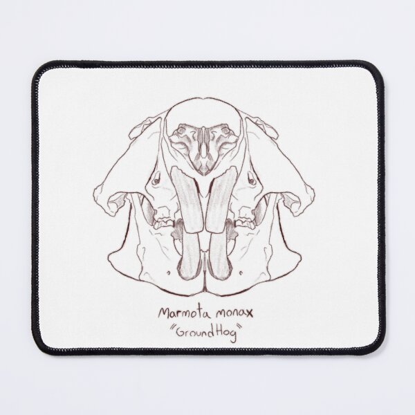 Item preview, Groundhog skull designed and sold by GrilledRetro.