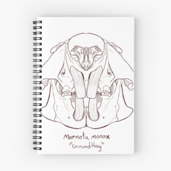 Item preview, Groundhog skull designed and sold by GrilledRetro.