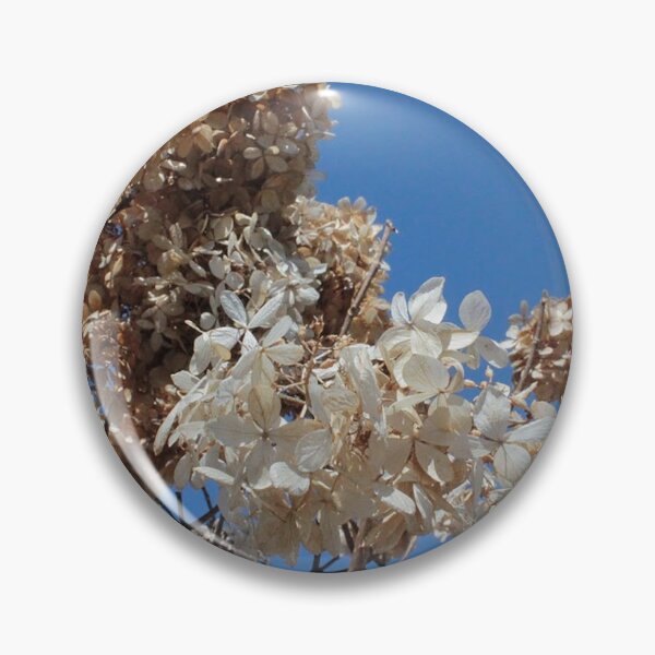 Item preview, Blue Background designed and sold by Songbird Photos.