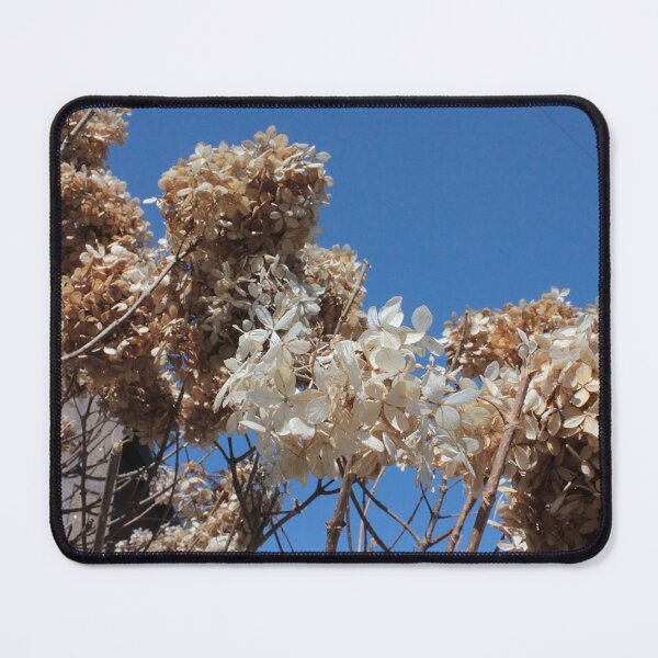 Item preview, Blue Background designed and sold by Songbird Photos.