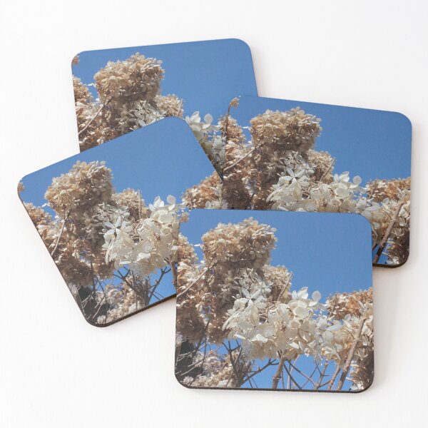 Item preview, Blue Background designed and sold by Songbird Photos.