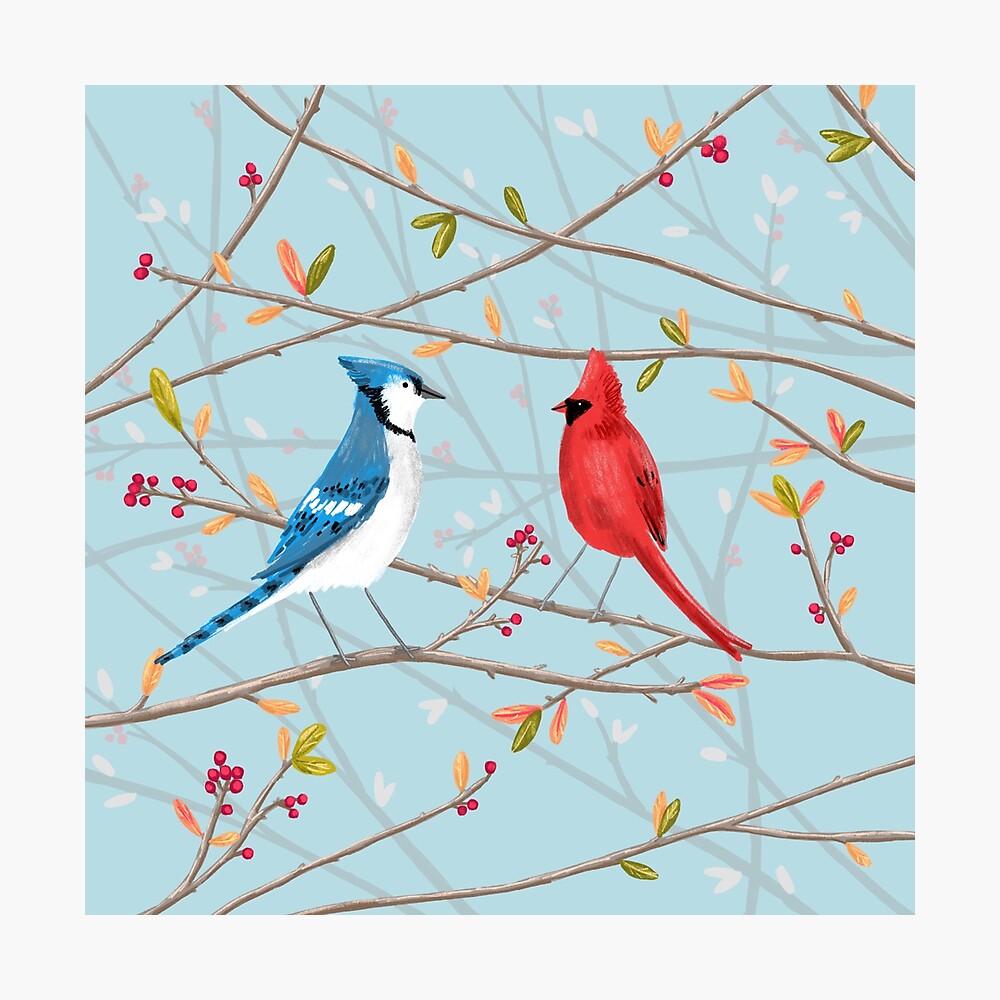 Blue Jay and Cardinal | Art Print