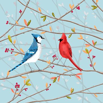 Blue Jay & Red Cardinal