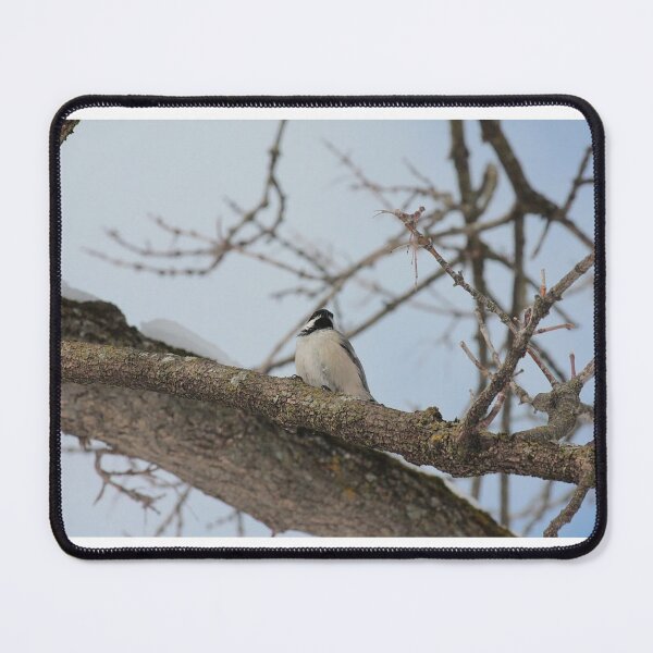 Item preview, Chickadee  designed and sold by Songbird Photos.