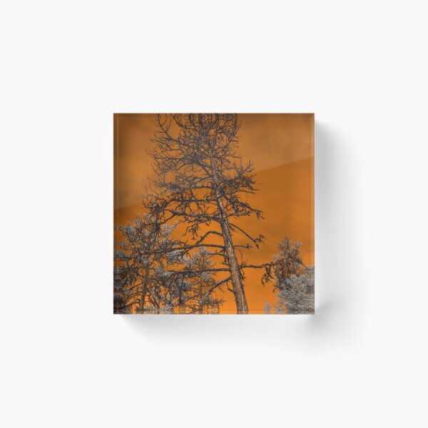 Item preview, Wildfire Sky Series Photo 1 designed and sold by Cblifeisgood.