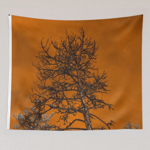 Item preview, Wildfire Sky Series Photo 1 designed and sold by Cblifeisgood.