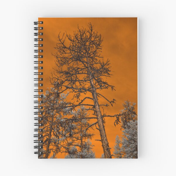 Item preview, Wildfire Sky Series Photo 1 designed and sold by Cblifeisgood.