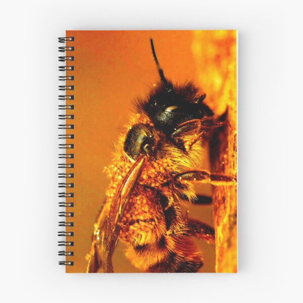 Item preview, Honeybee designed and sold by ontological.