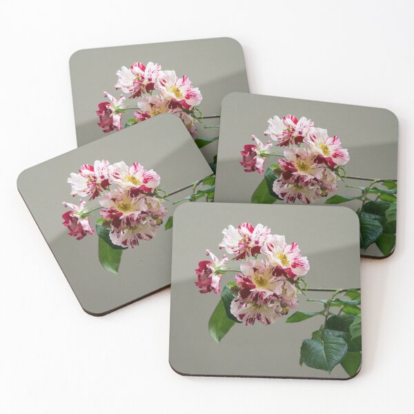 Item preview, A Branch of Variegated Rose Blooms Against Calm Gray Background designed and sold by Georgia Mizuleva.