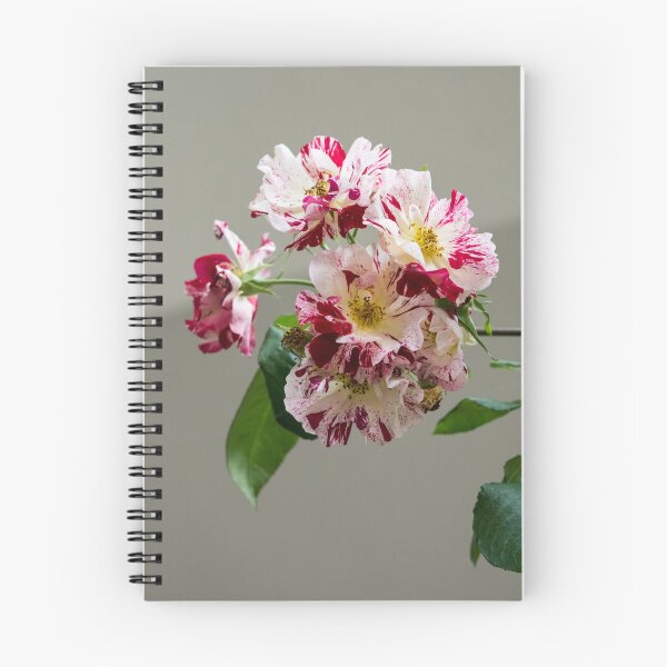 Item preview, A Branch of Variegated Rose Blooms Against Calm Gray Background designed and sold by Georgia Mizuleva.