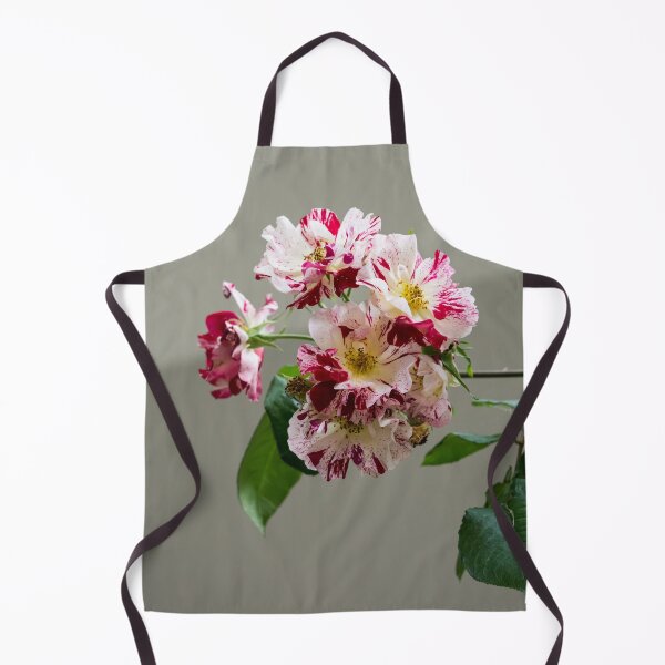 Item preview, A Branch of Variegated Rose Blooms Against Calm Gray Background designed and sold by Georgia Mizuleva.