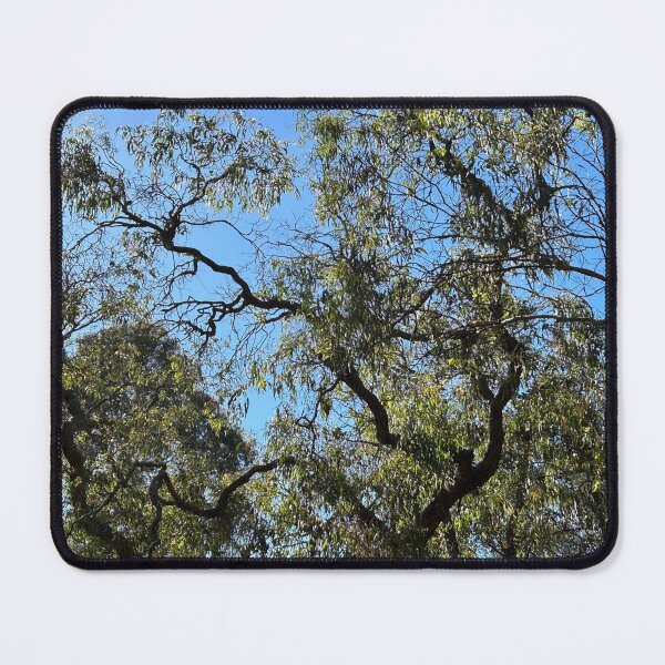 Item preview, The Curly tree designed and sold by jayview.