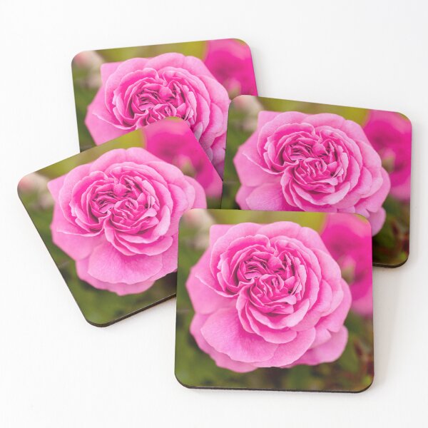 Item preview, Pink Rose 02 designed and sold by Tanya C  Smith.