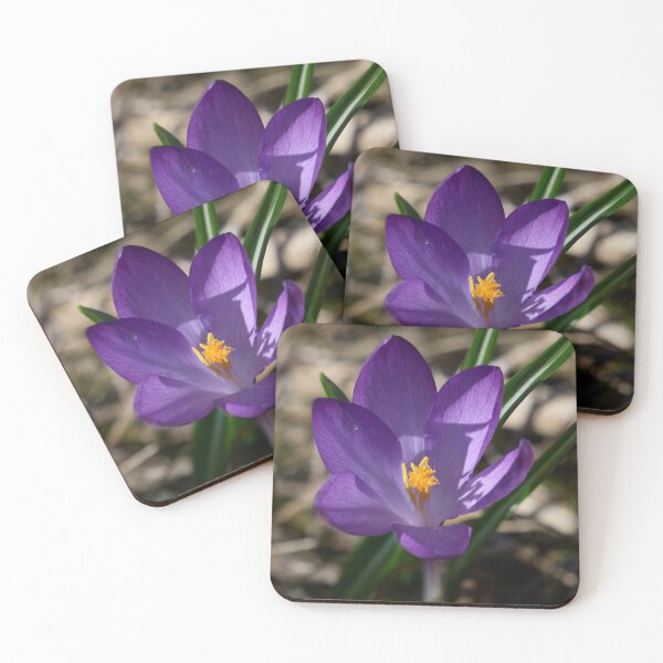 Item preview, Springflowers. Crocus designed and sold by Jouko Lehto Photography.